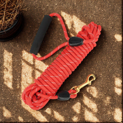 longe chien couleur rouge sur jute