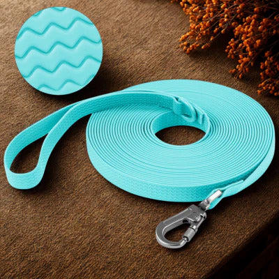 longe chien couleur turquoise fleur secher