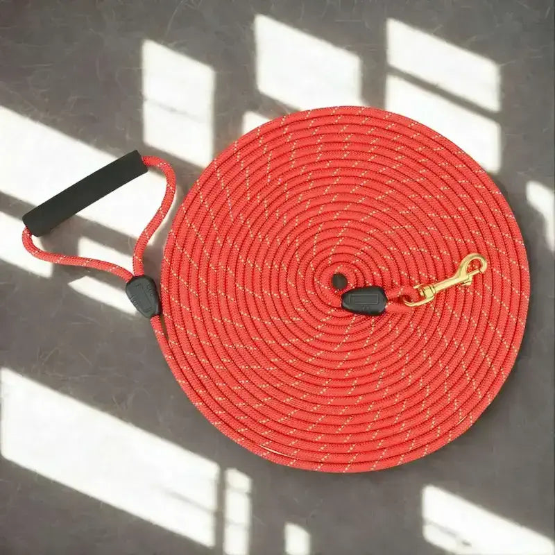 Une longe pour chien de couleur rouge avec poignée rembourrée.