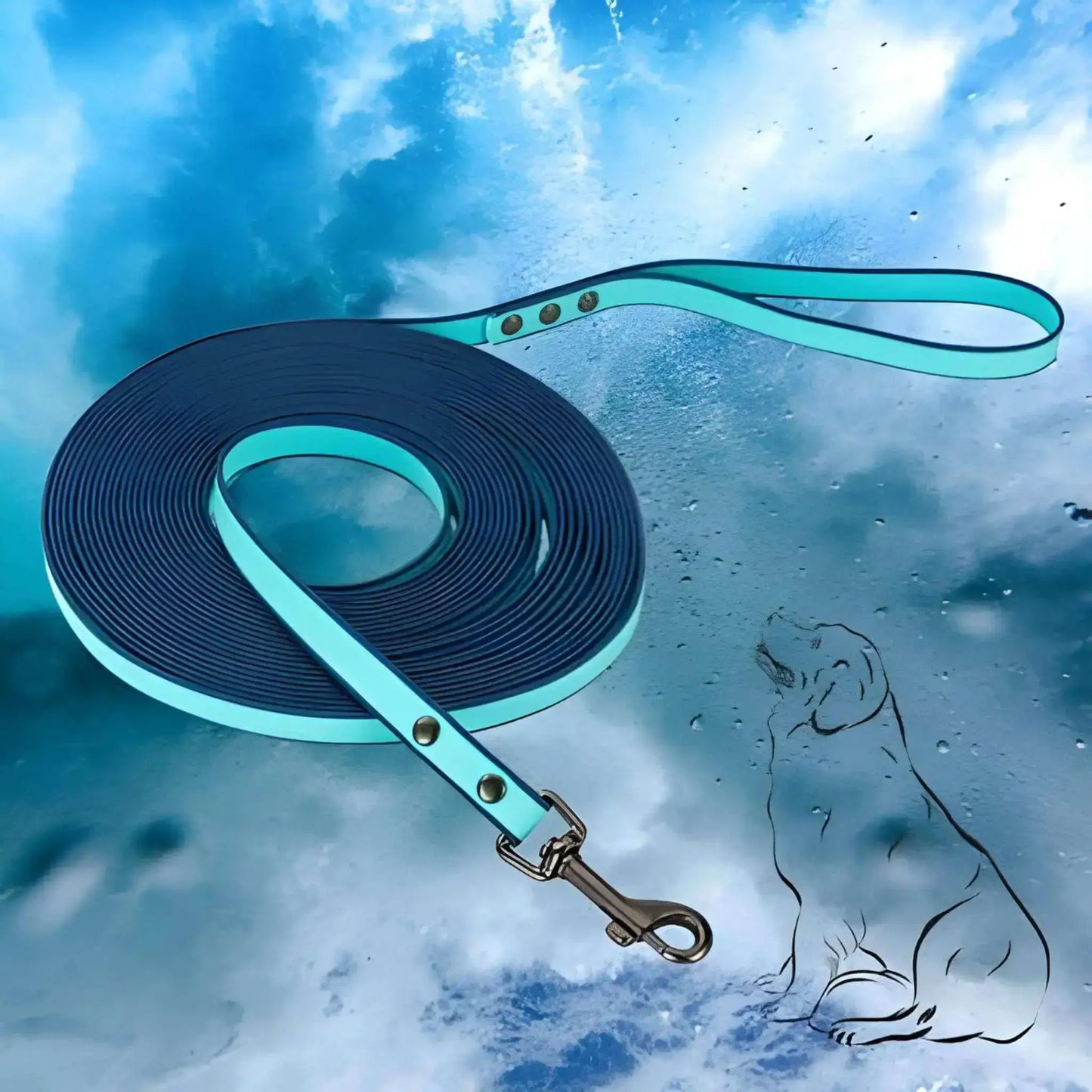 Une longe pour chien de couleur turquoise et noire imperméable.