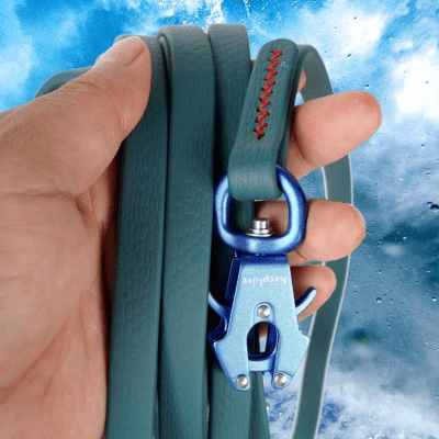 longe chien pvc haute qualite longe main tiens longe verte