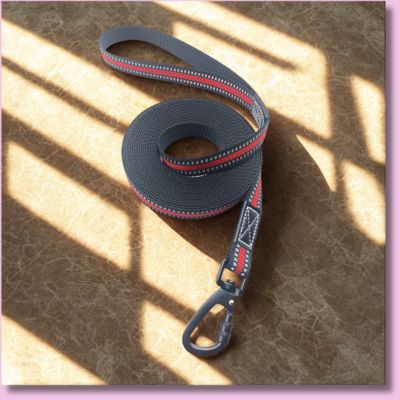 longe chien reflechissante couleur rouge