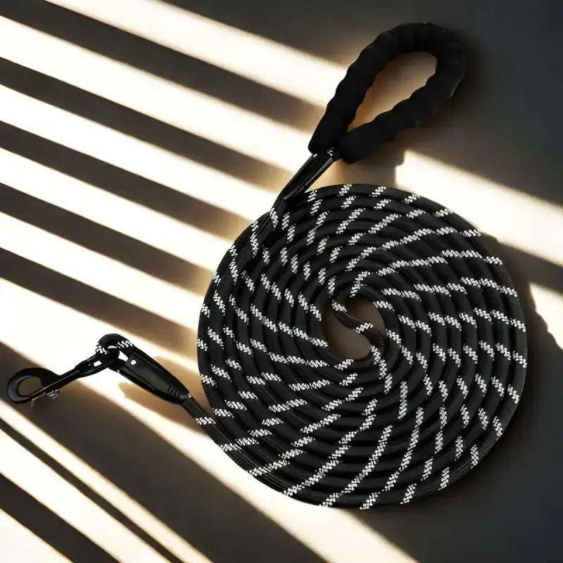 Une longe pour chien noire réfléchissante.
