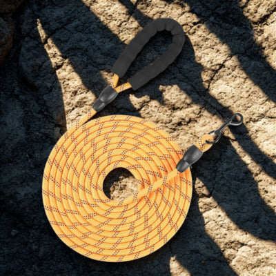 longe pour chien couleur jaune sur roche