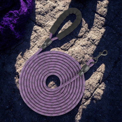 longe pour chien couleur violet sur roche