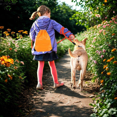 longe pour chien petite fille labrador promene chemin fleur