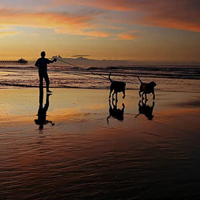 longe pour chien plage coucher soleil deux chiens longe maitre