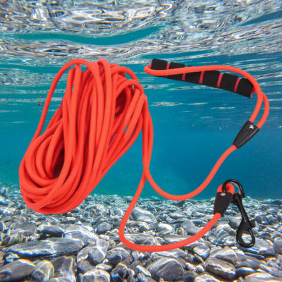 longe pour chien surmerge eau orange