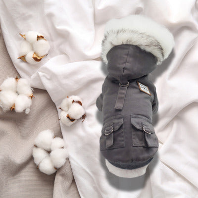 manteau chien bleu gris avec fleur coton