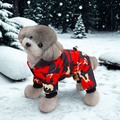 manteau chien caniche gris camouflage rouge neige forest arriere