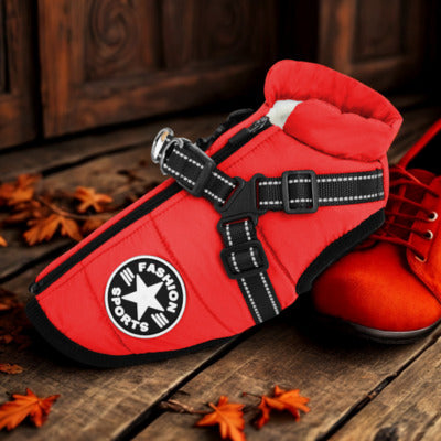 manteau chien couleur rouge decoration automne