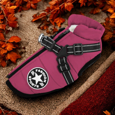 manteau chien couleur violet automne feuille morte