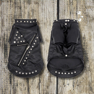 manteau chien recto verso