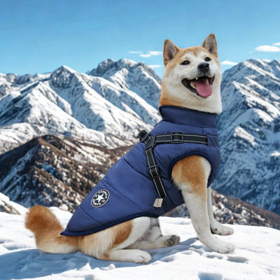 manteau pour chien akita manteau bleu montagne neige