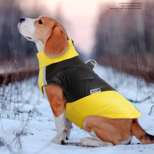 manteau pour chien-chien assis hiver manteau