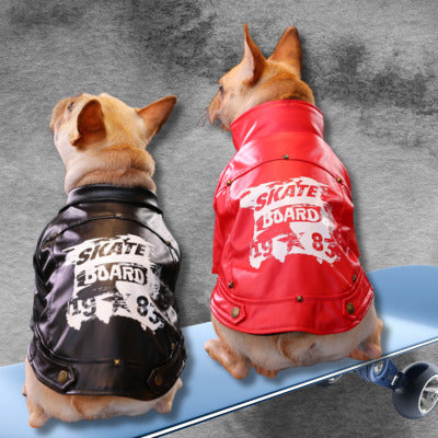 manteau pour chien deux bouledogue francais planche roulette
