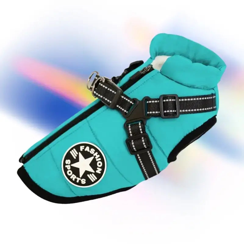 Un manteau pour chien de couleur turquoise.