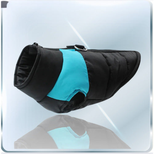 manteau pour chien noir bleu