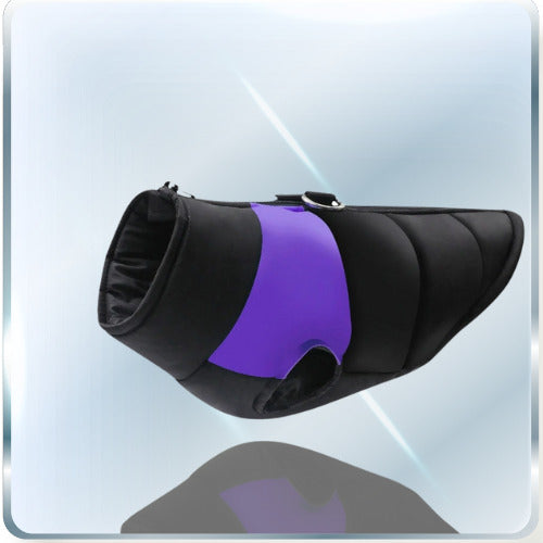 manteau pour chien violet