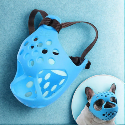 museliere bouledogue francais couleur bleu