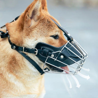museliere cage chien avec museliere respirant