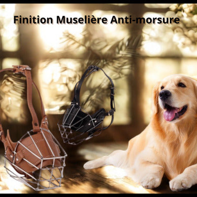 museliere cage golden retriever finition anti morsure museliere