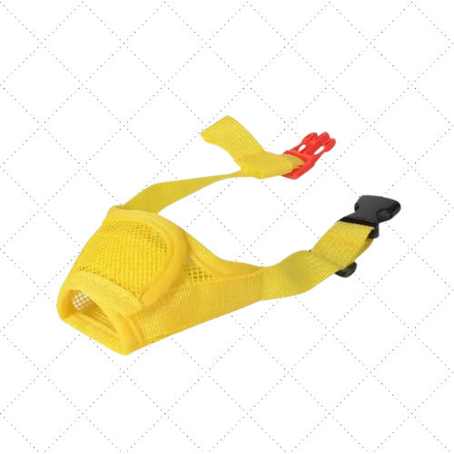 museliere chien jaune