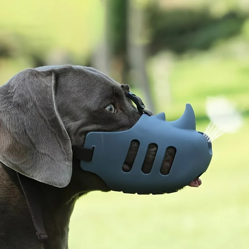 museliere pour chien labrador avec museliere gris bleu