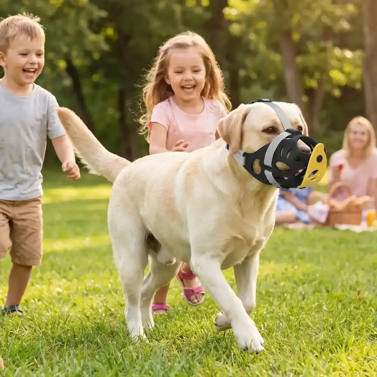 Un labrador qui joue avec des enfants porte une muselière pour chien anti-morsure.
