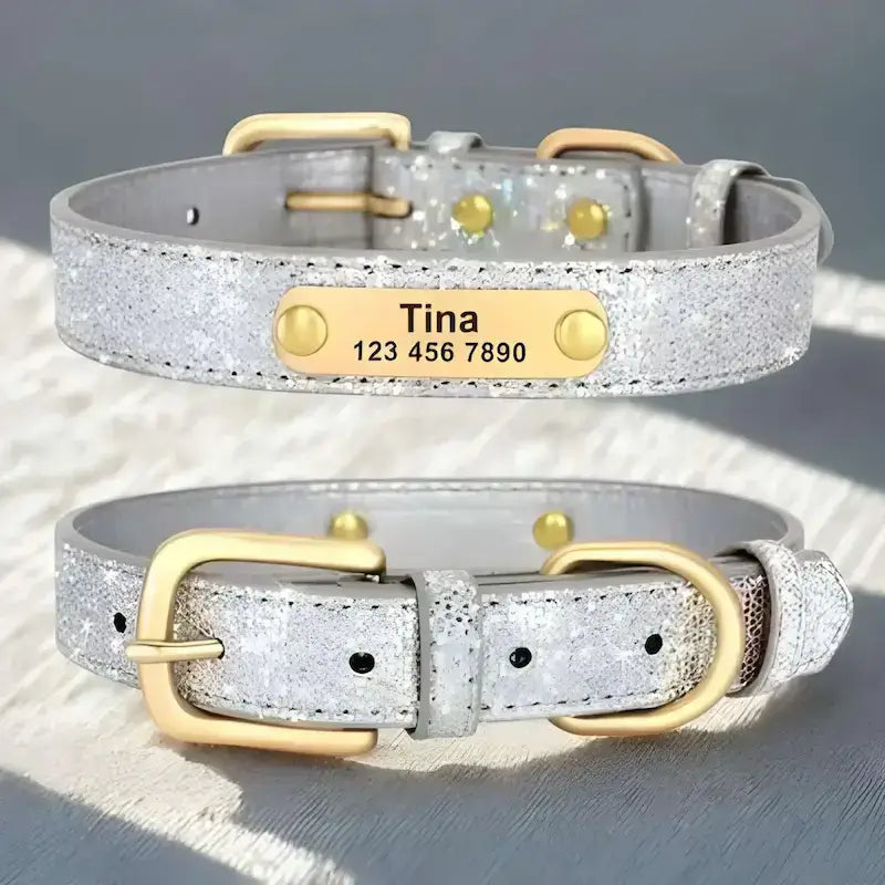 Personnalisation de collier pour chien de couleur argent.