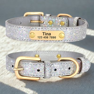 personnalisation collier chien couleur argent brillant