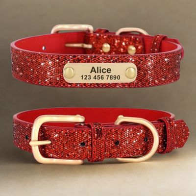 personnalisation collier chien couleur rouge brillant