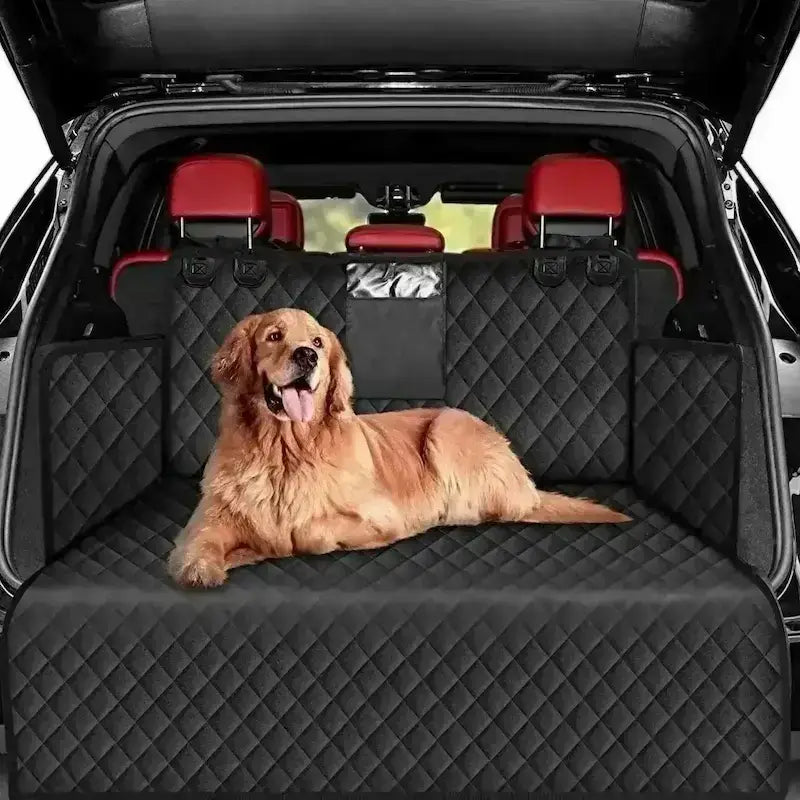 Un golden retriever allongé avec la protection de coffre pour chien.