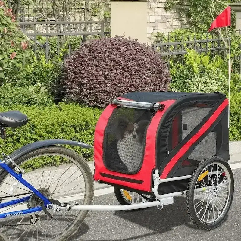 Un chihuahua papillon assis dans une remorque à vélo pour chiens de couleur rouge.