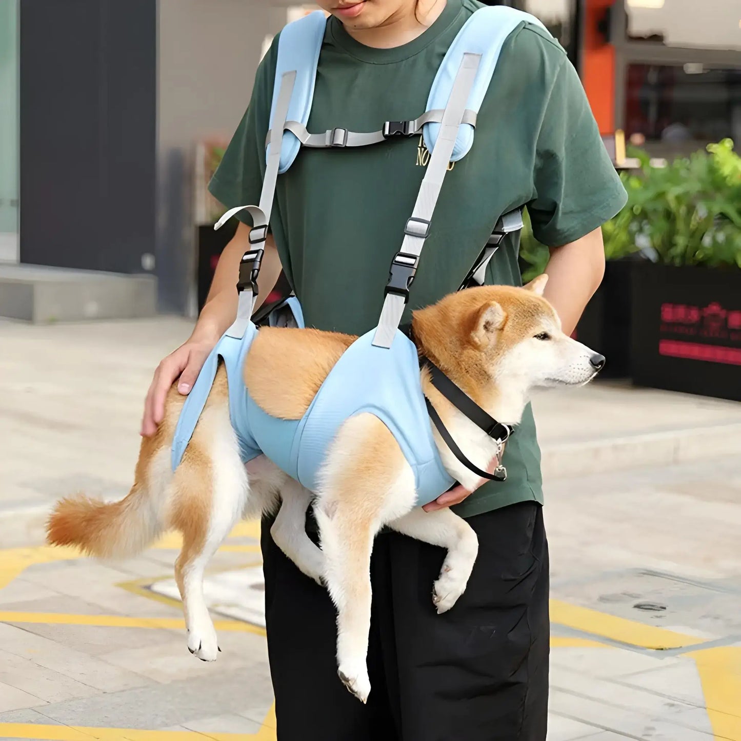 Une femme porte un shiba inu dans un sac à dos de portage pour chien bleu.