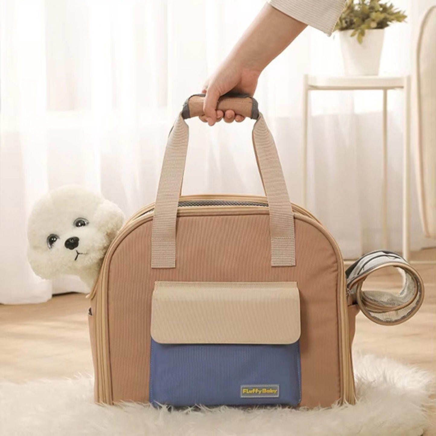 Caniche blanc dans un sac à dos pour chien de couleur rose et bleu sur un tapis poilu dans un salon, femme tient les sangles.