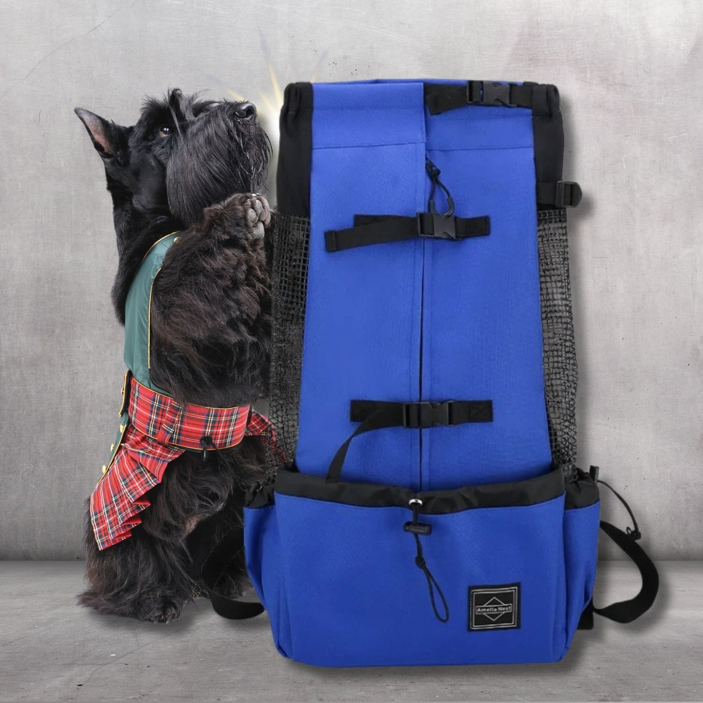 sac a dos pour chien wooftrip-couleur bleu-schnauzer noir