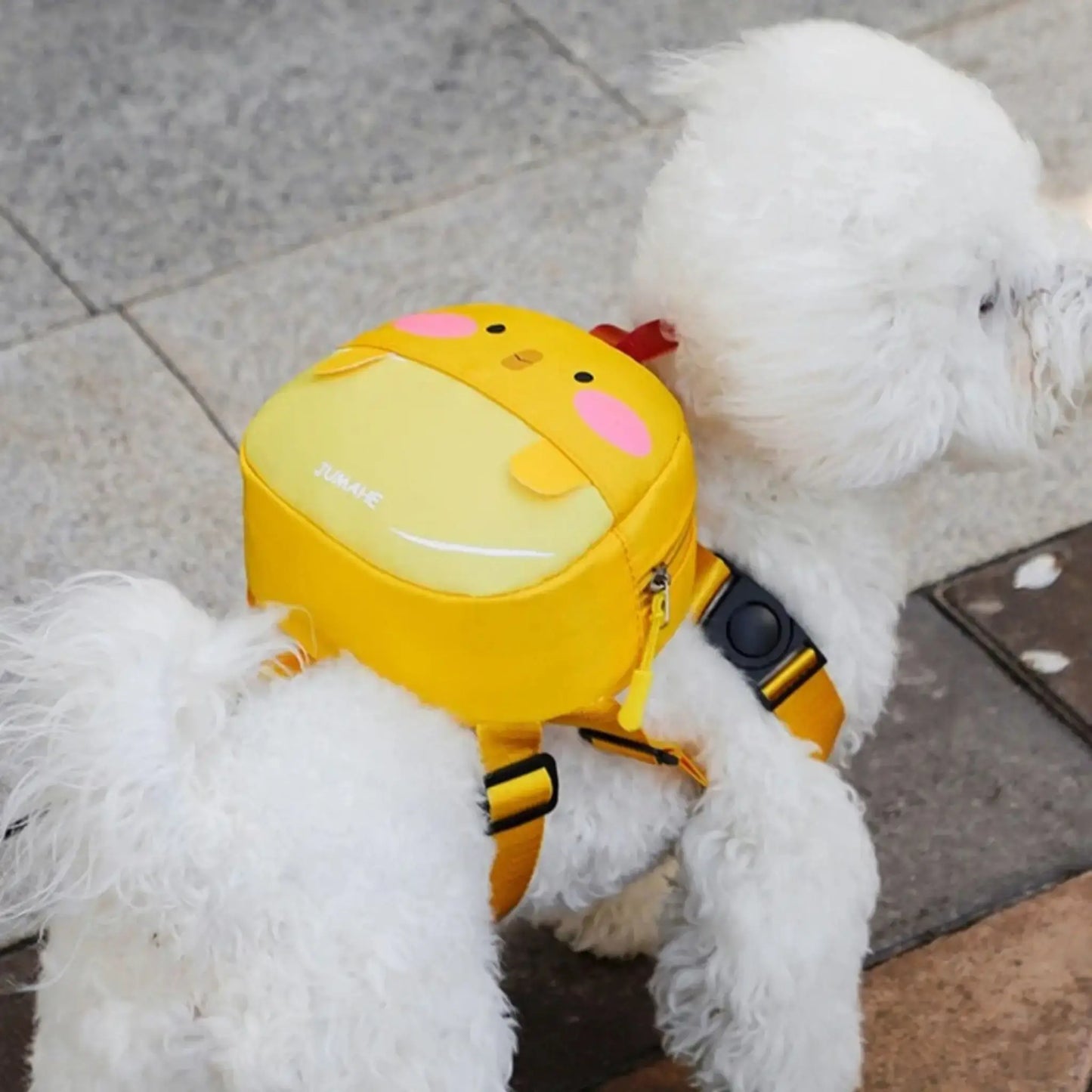 Un bichon frisé porte un sac à dos pour chiens jaune.