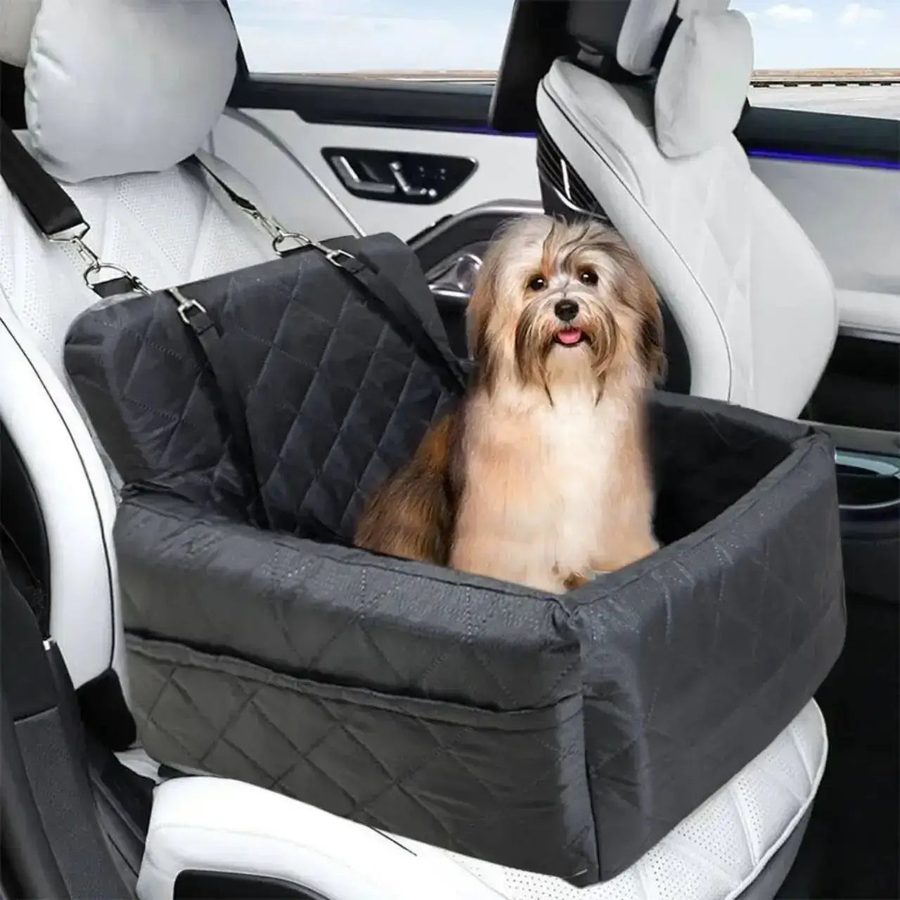 Un bichon havanais assis dans son siège d'auto ou un chien noir sur le siège avant de la voiture.