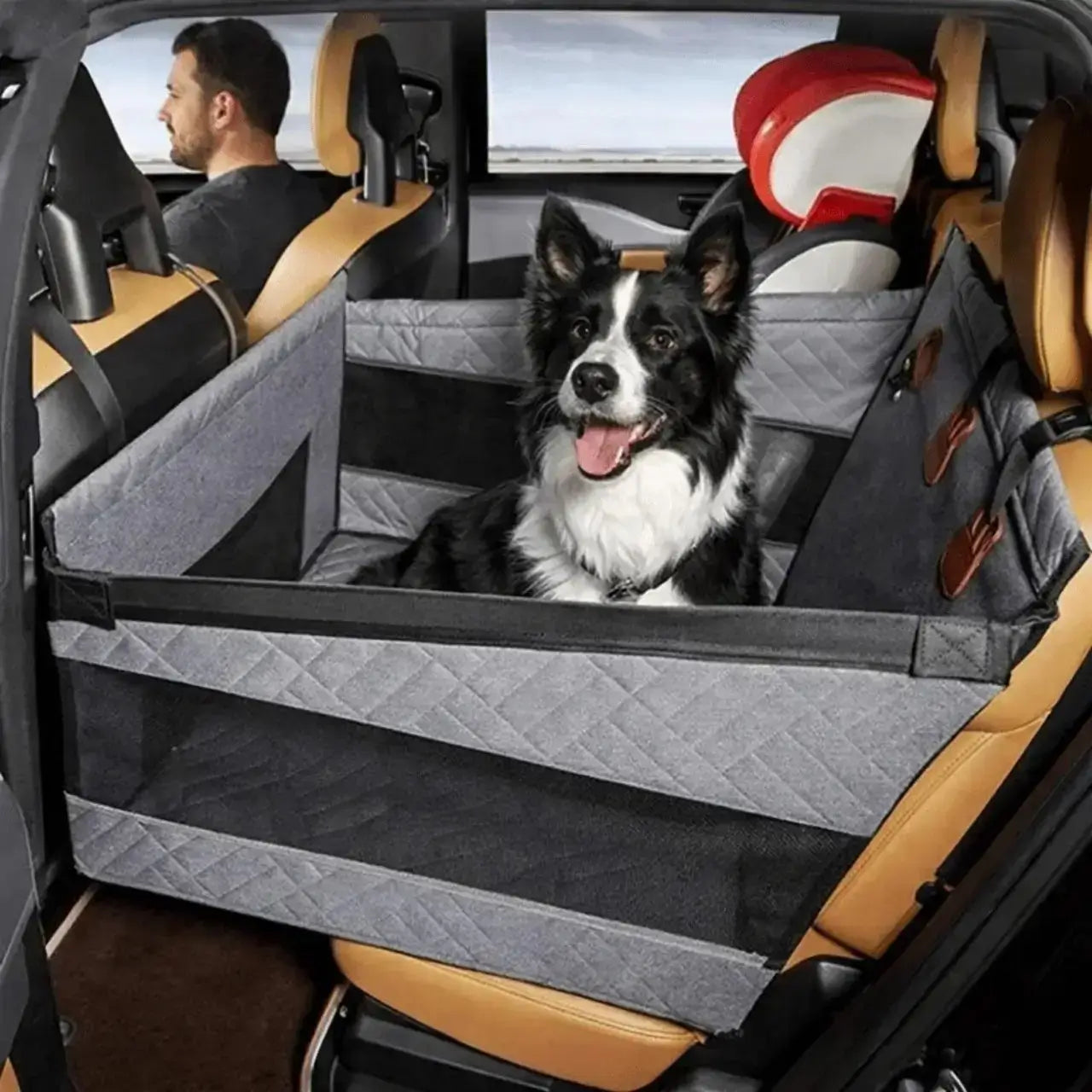 Un border collie dans un siège de voiture pour chien sur la banquette arrière.