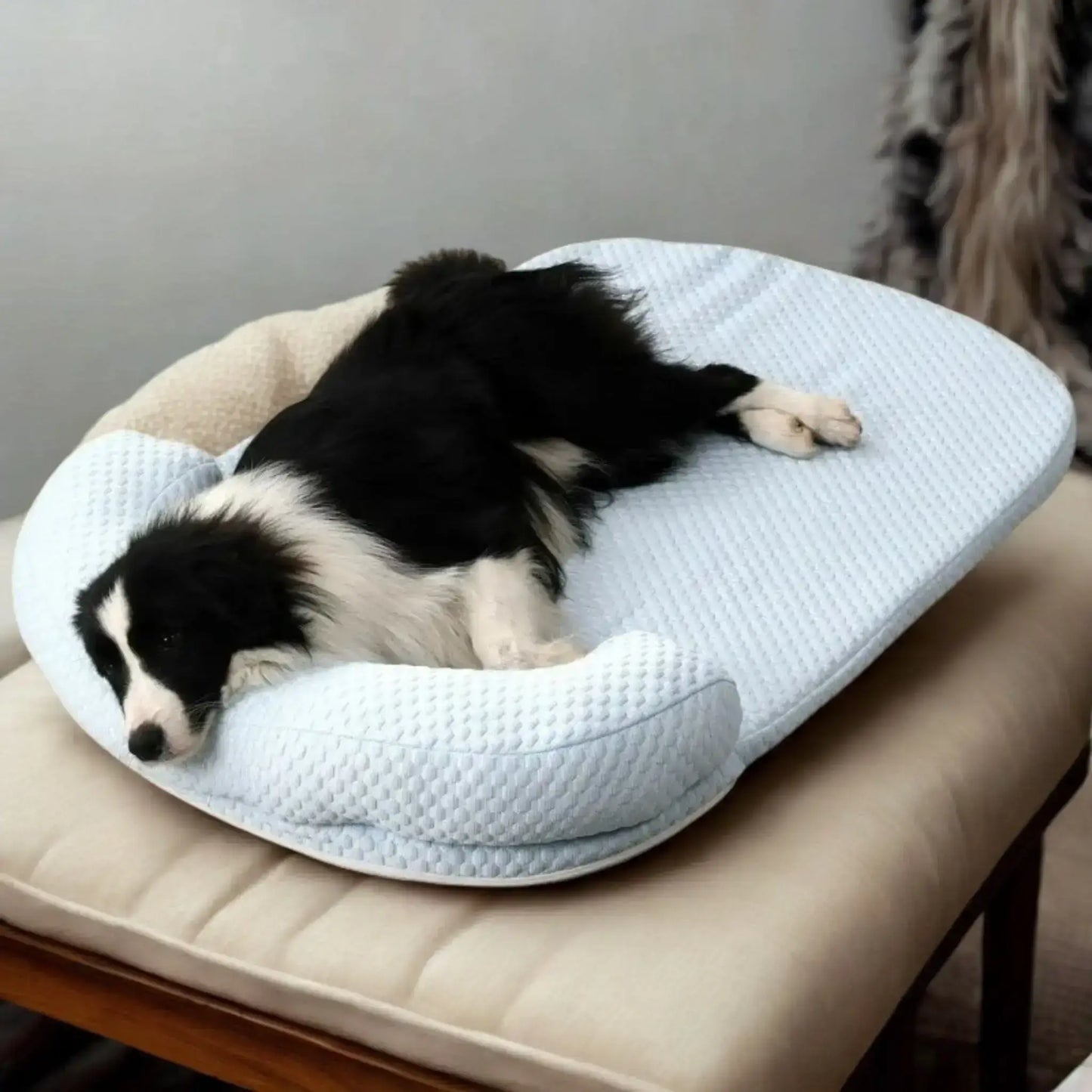 Un border collie allongé sur un tapis rafraichissant pour chien de couleur bleu