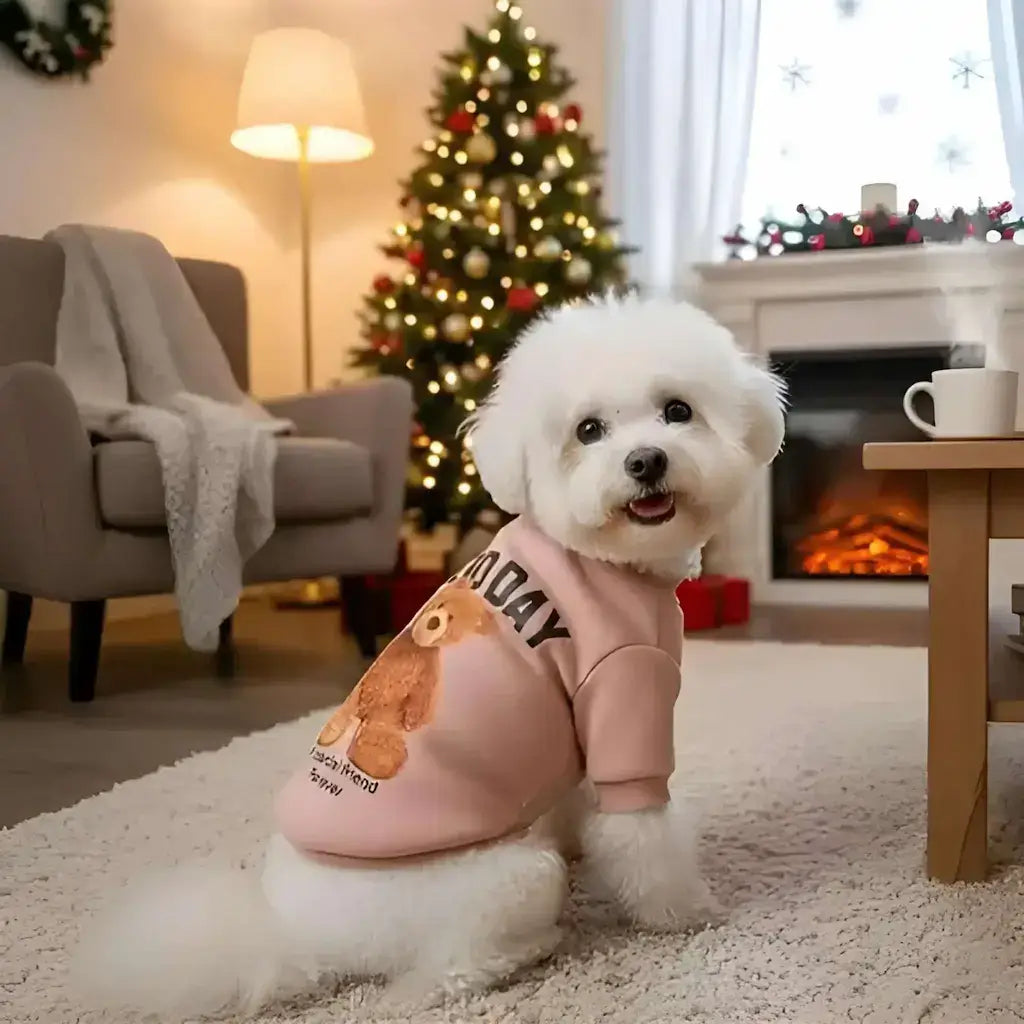 Une vue latérale d'un bichon frisé assis dans un salon avec ses vêtements pour chien rose.