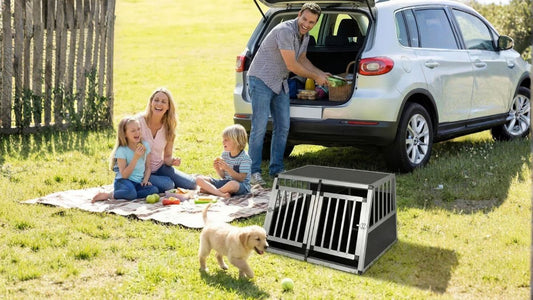 Une famille en pique-nique avec leur chiot avec une cage de transport pour chien.