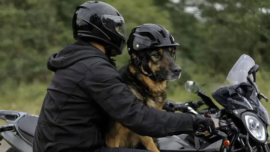 Un homme sur une moto avec son berger allemand porte un casque pour chien de moto