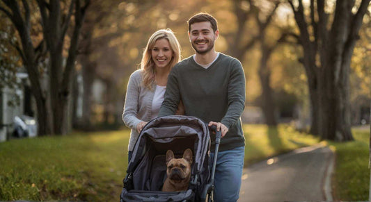 Un couple se promène dans un parc avec une poussette pour chien avec un bouledogue français à l'intérieur.