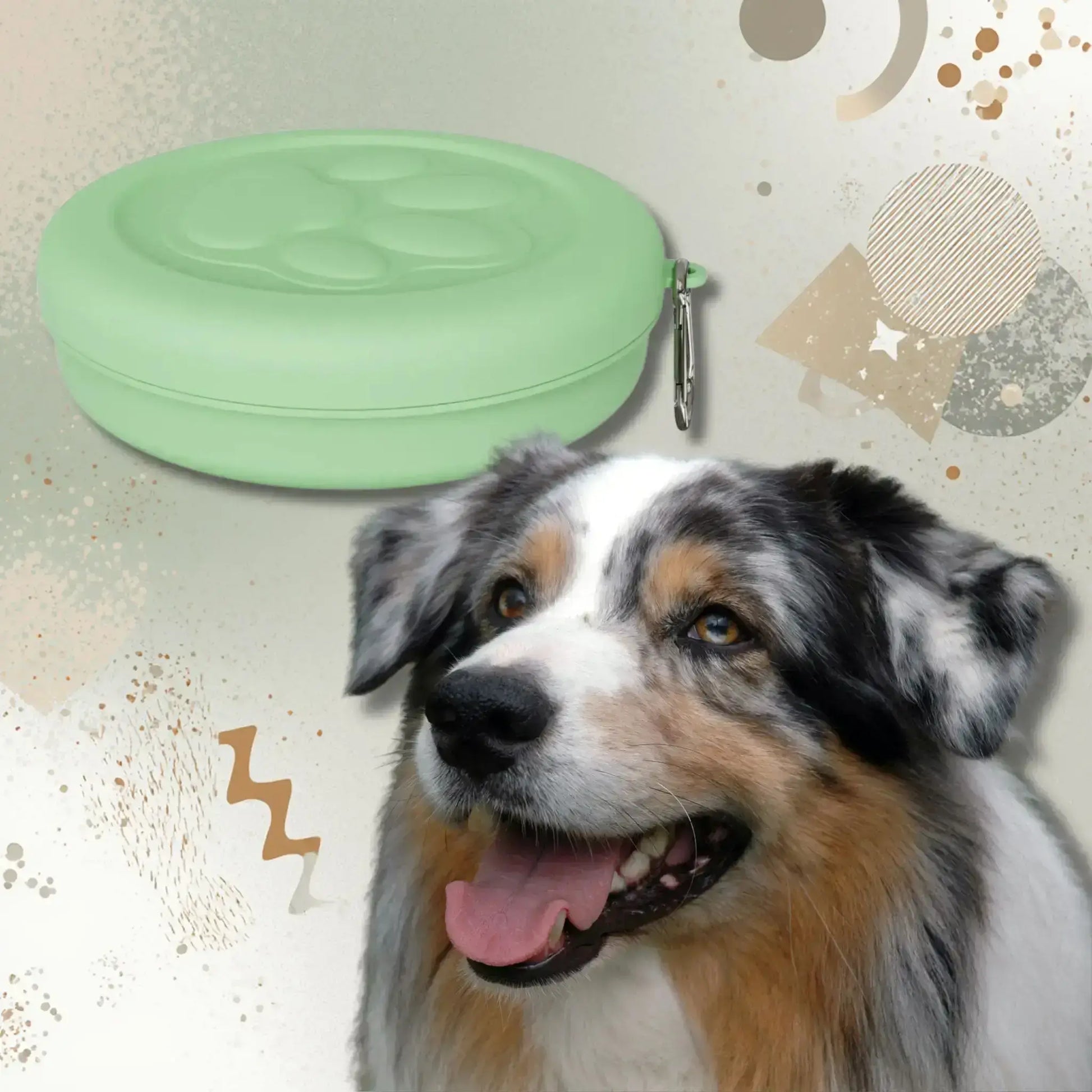 Accessoire pour chien Bolo, un berger australien avec son bol vert.