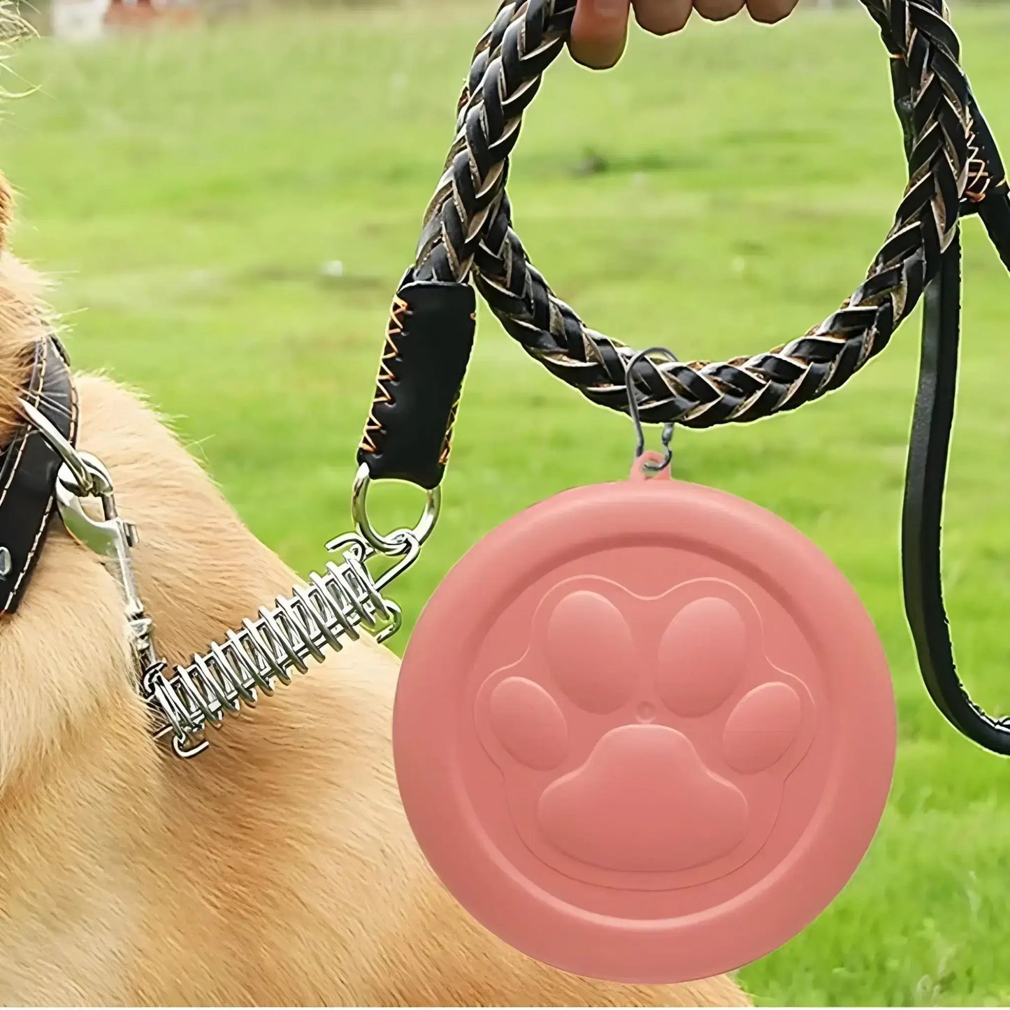 L'accessoire pour chien Bolo saumon : le bol peut être accroché à une laisse.