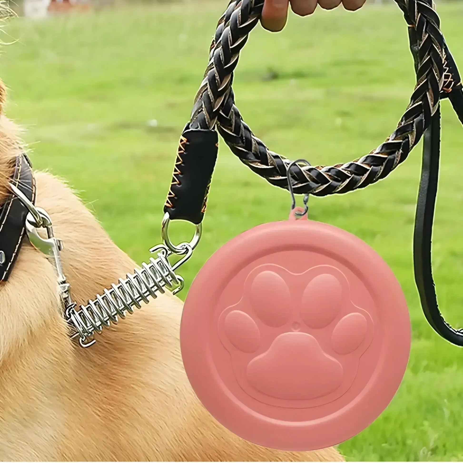 L'accessoire pour chien Bolo saumon : le bol peut être accroché à une laisse.