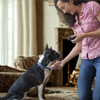 Une femme tenant à la main un dispositif anti-aboiement dresse son chien.