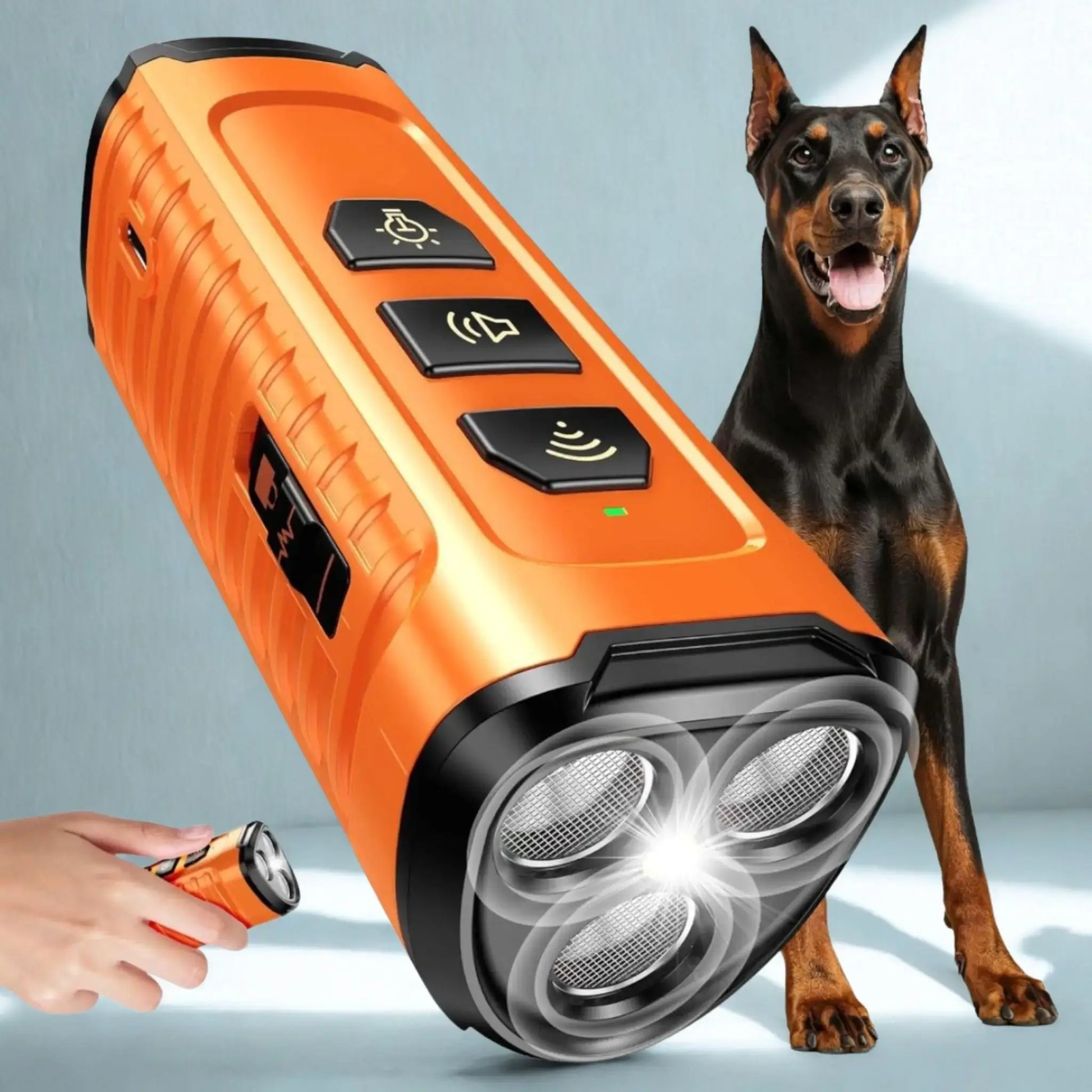 Un doberman avec un dispositif anti-aboiement pour chien SilenceRex.